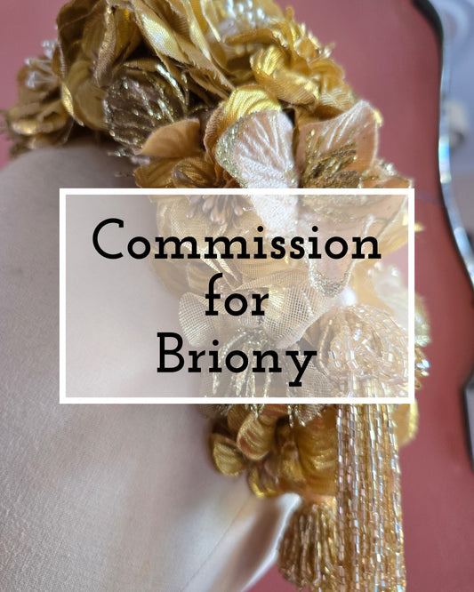 Commission for Briony
